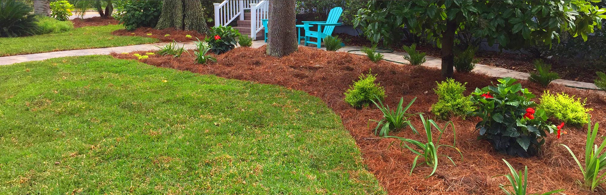 Green Lawn and Garden